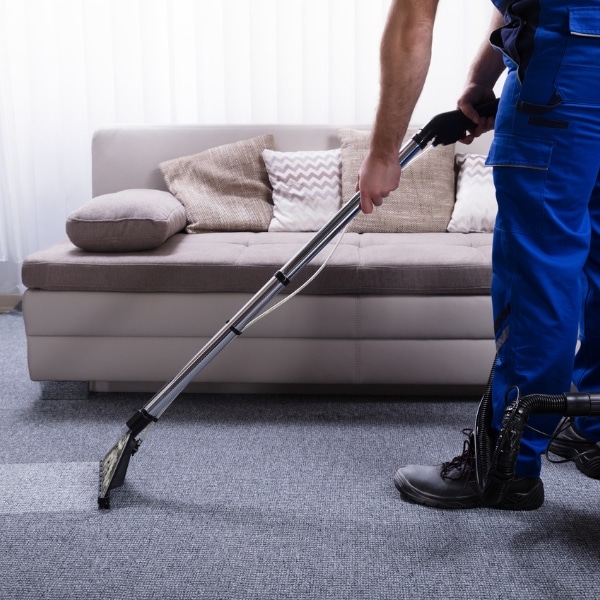 Professional carpet cleaning services near you